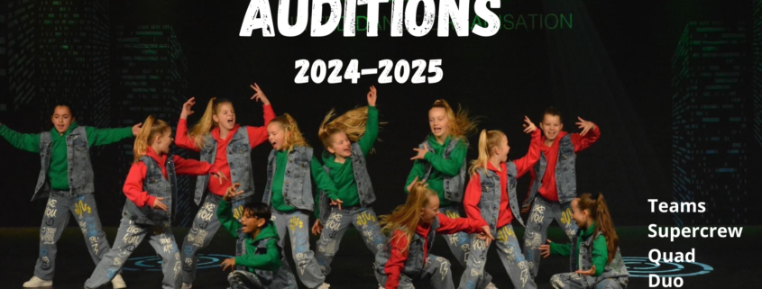 audities 2024-2025